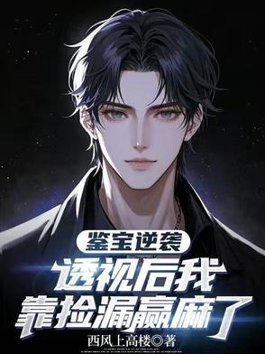 鉴宝透视小说